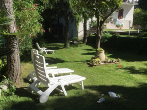 Nabrežina